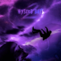 wxsted days vol. 2 - Matt Wxsted