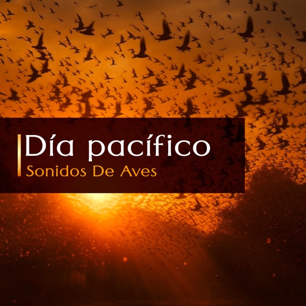 Día pacífico