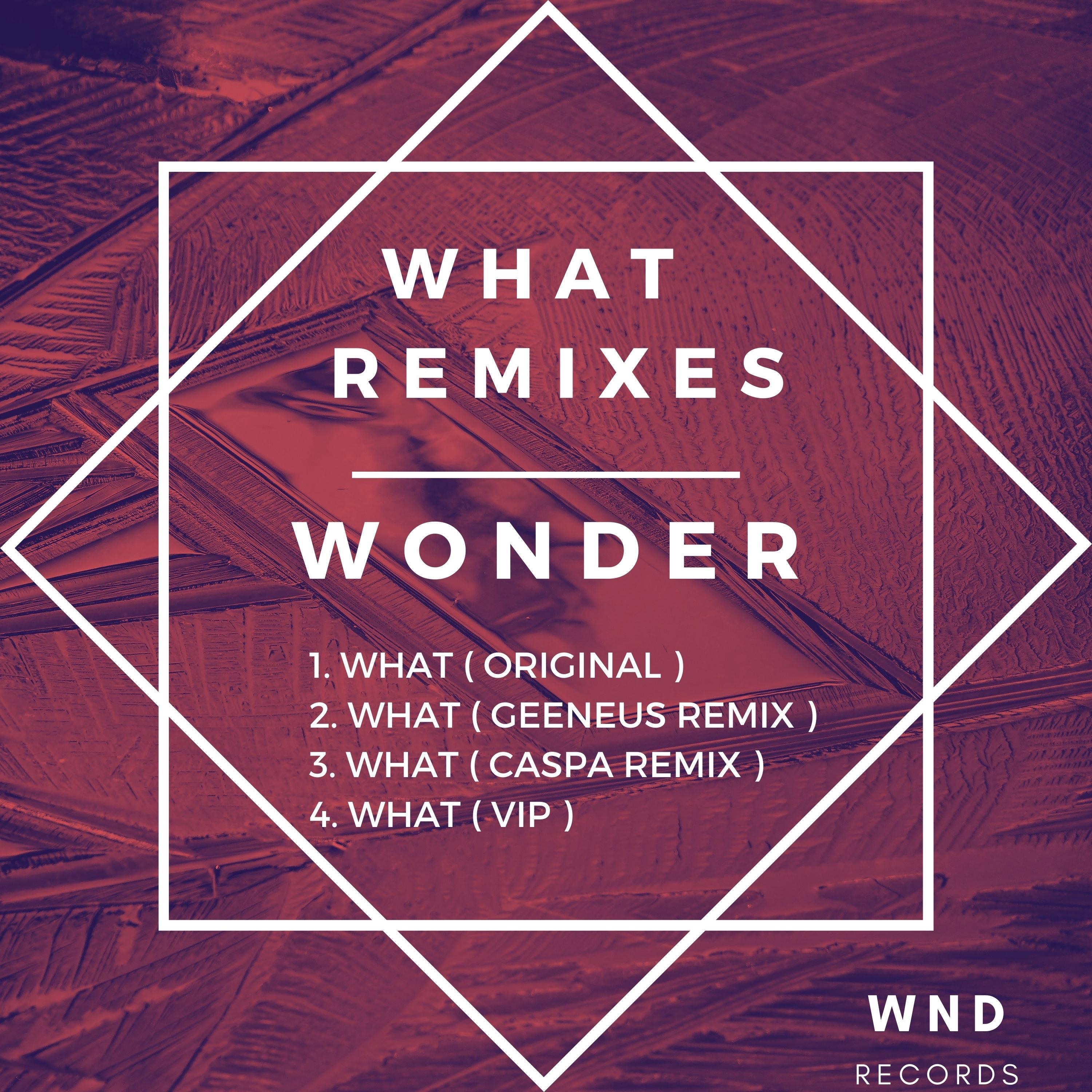 What Remixes - EP