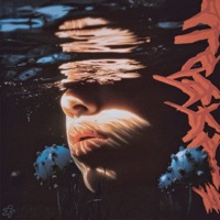 Surrender - Single - Runnit