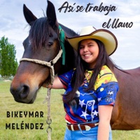 Así se Trabaja el Llano