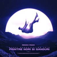 Printre nori si ganduri (Remix Pack) - Raoul Russu & Alina (Jais)
