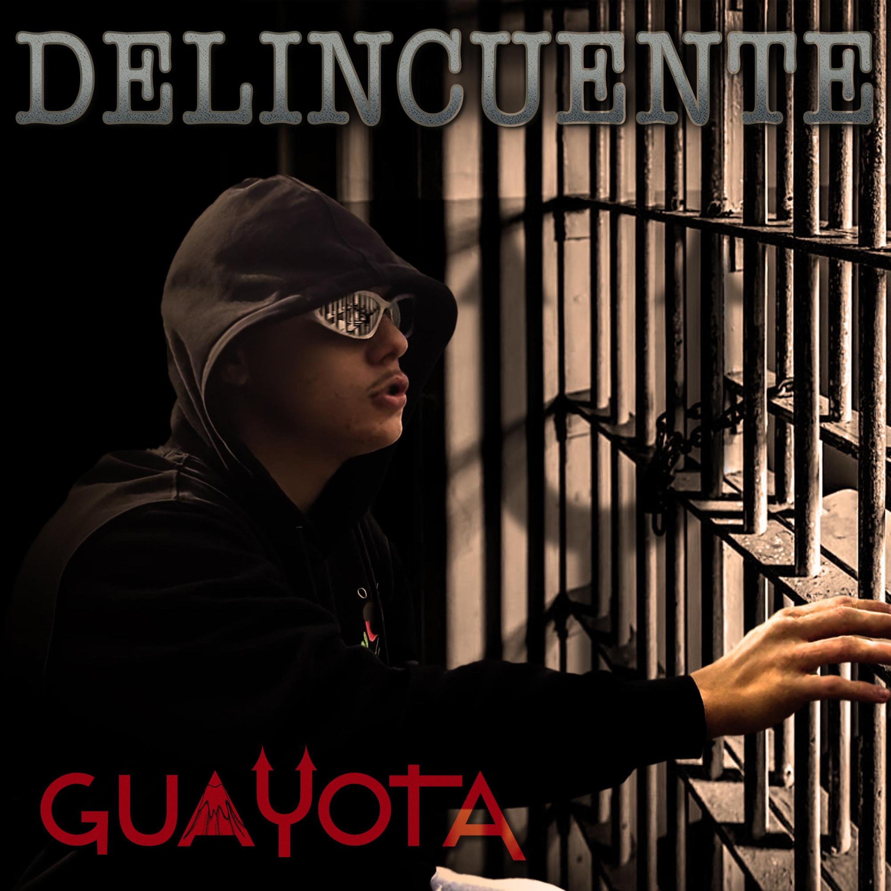 Delincuente - Single