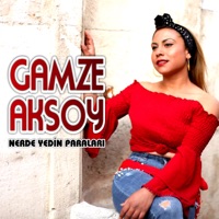 NERDE YEDİN PARALARI