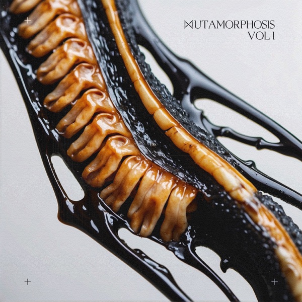 MUTAMORPHOSIS, Vol.1 - Single