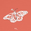 Cocoon