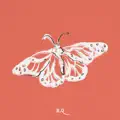 Cocoon