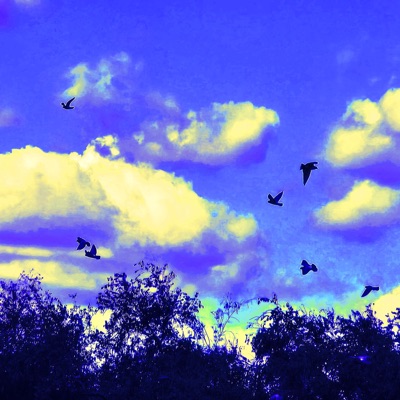 I Wish I Forgot - Single