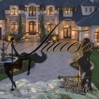 Success (feat. Koolz) - Single - Nueve