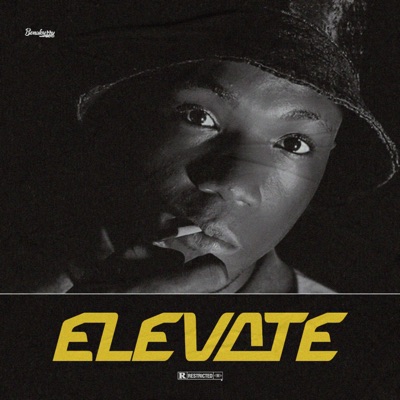 Elevate - Single