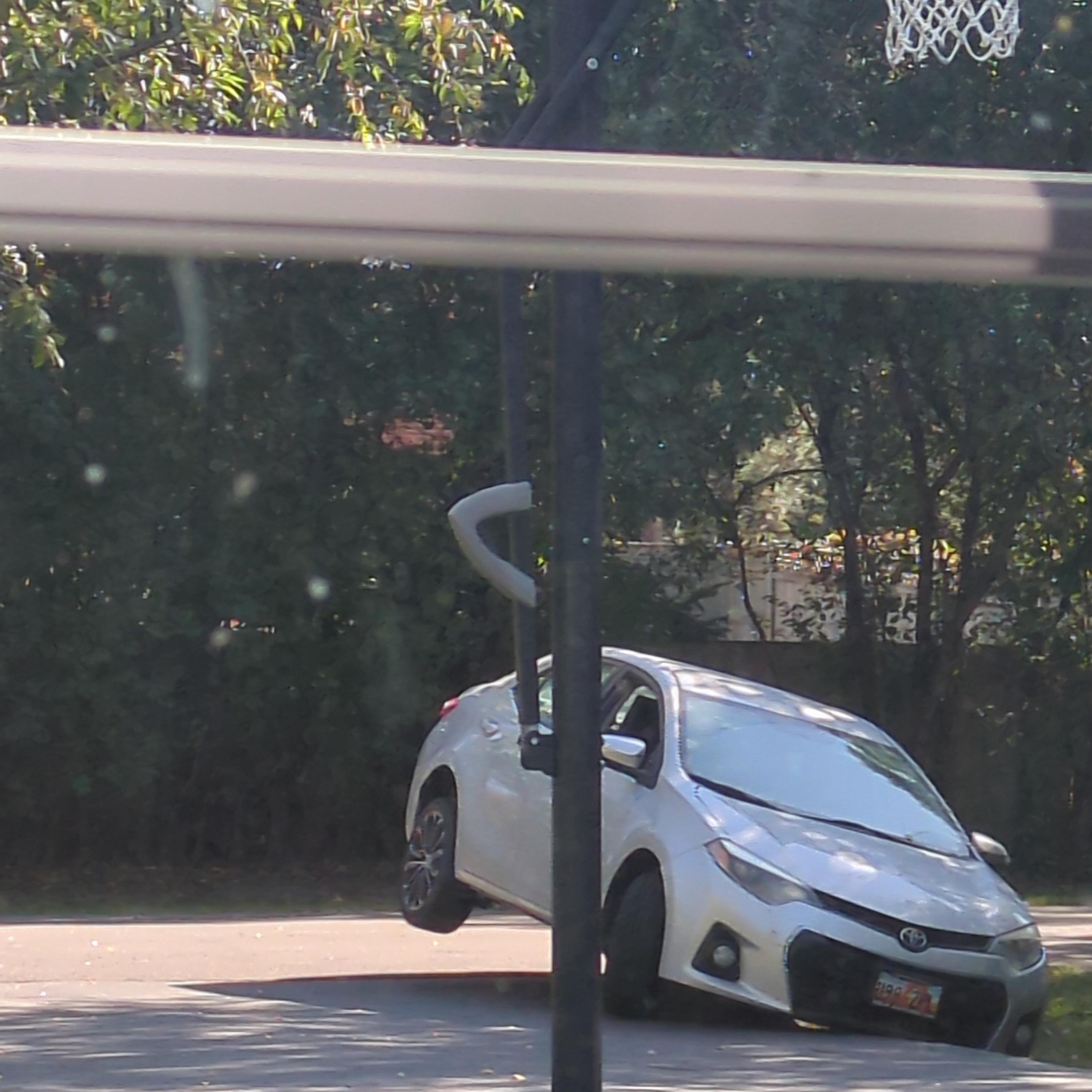 lady beetle // cruel stability - Single