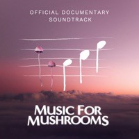 Official Documentary Soundtrack - Music For Mushrooms (Official Documentary Soundtrack) - East Forest