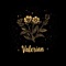Valerian (feat. Alchemorph) - Below The Glow lyrics