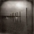 Flight of the Eagle
