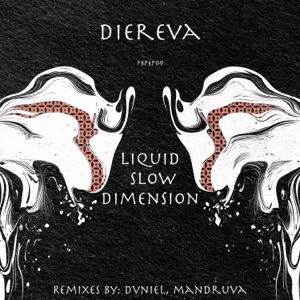 Liquid Slow Dimension - EP