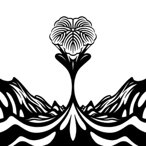 Koko