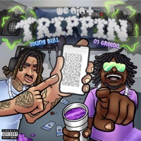 We Ain't Trippin - Single - Young Bull & 03 Greedo