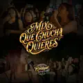 Mix Que Chucha Quieres