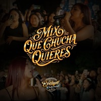 Mix Que Chucha Quieres