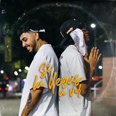 Si la llegas a ver - Single