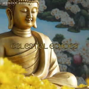 Celestial Echoes: Journey with 432 Hz to the Unknown