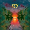 Fly (Single Edit) - Single