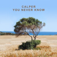 You Never Know (Simon Field Remix) [Extended Edit] - Single - Calper