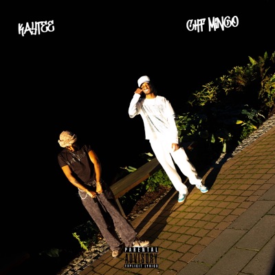 Mørke Kjøring (feat. CHF Mingo) - Single