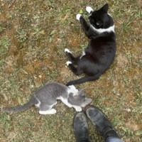 4444 - Single - dumpster baby