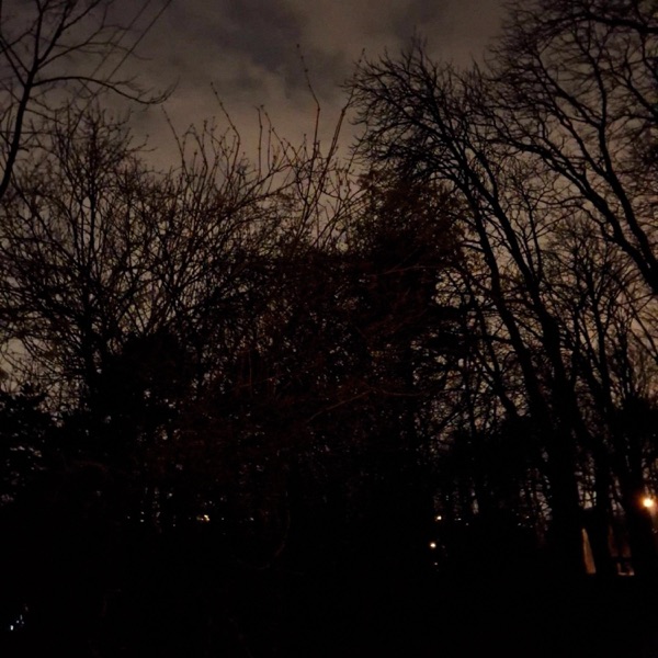 Gloom