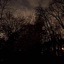 Gloom