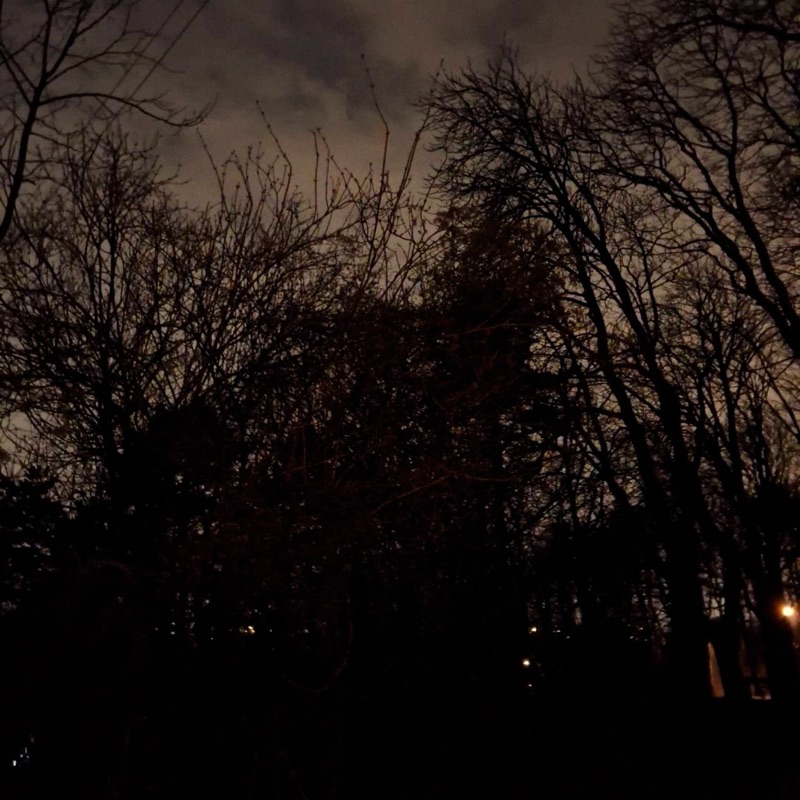 Gloom