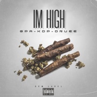 Im High (feat. GPA, Kirk Da Poet & DruTheNgineer) - Single - Kreate Kollective