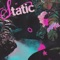 static - Red Roses Realm & BUMØ lyrics