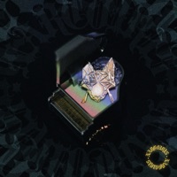 El Don del Don - Narcoiris (feat. BigBigor) - Single - Ancu F. Fox & Garde-Fam