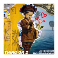 THiNG OR 2 (feat. Wakai) - Single - jareix & marado
