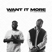 Want It More (feat. Lou Charle$) - Single - Itsernie