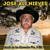 José Alí Nieves - Ave Indecisa (En Vivo)