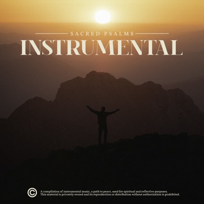 Divine Light Chaplet (Instrumental) - Single
