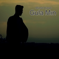 Gula Mın - Single - Mirhat Alasor