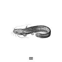 Der totgeglaubte Wels - Single - Helmuth & *maliiik