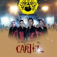 En Vivo Desde el Ydalgo - Los Hijos Del Cartel