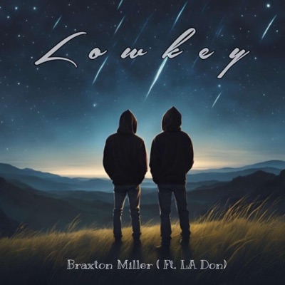 Lowkey (feat. LA don) - Single