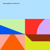 Volume 08 - Amazing Music