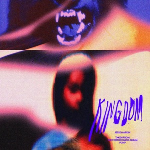 Kingdom - Single