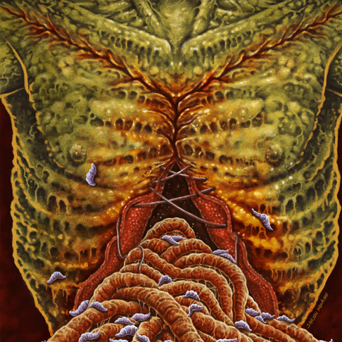 FLESH GRINDER - Apple Music