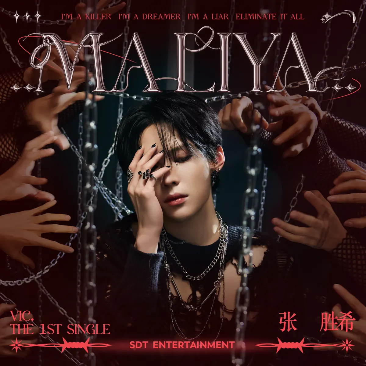 張勝希 - MALIYA - Single (2024) [iTunes Plus AAC M4A]-新房子