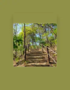 Hör dir JWON LEE an, schau dir Musikvideos an, lies die Biografie, finde Tourdaten und mehr!