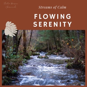 Flowing Serenity: Streams of Calm