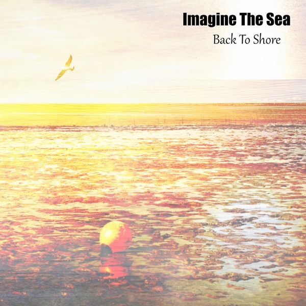 Back To Shore - Single